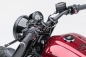 Preview: Brake and Clutch Lever R18